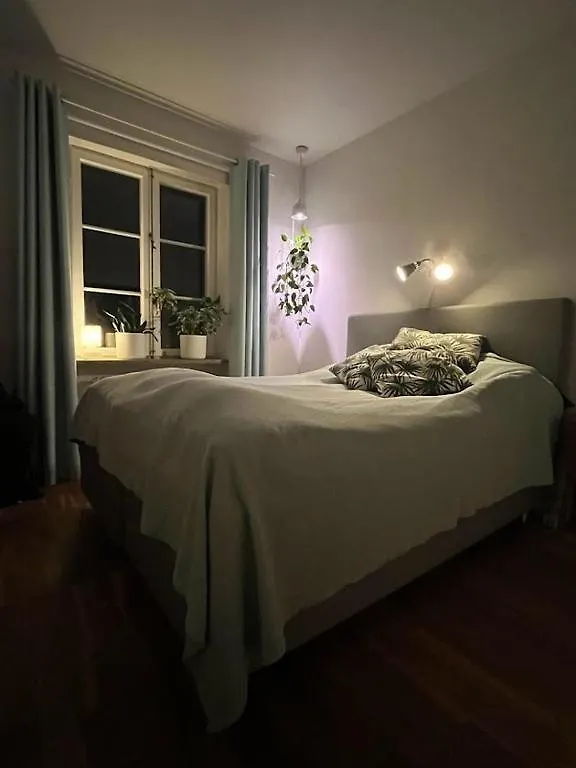 Stor Etage St Knut Appartement Malmö Zweden